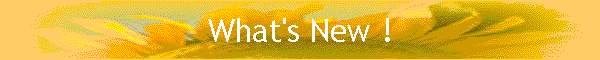 What's New !